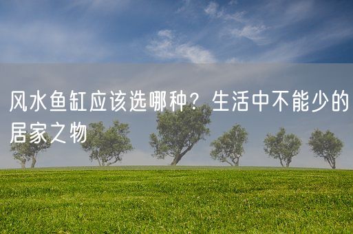 风水鱼缸应该选哪种？生活中不能少的居家之物(图1)