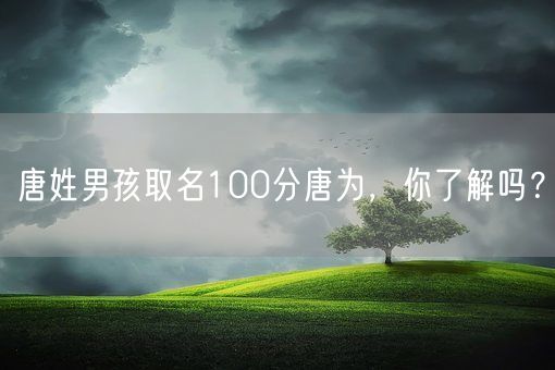 唐姓男孩取名100分唐为，你了解吗？(图1)