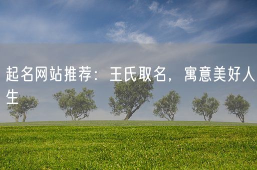 起名网站推荐：王氏取名，寓意美好人生(图1)