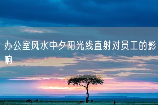 办公室风水中夕阳光线直射对员工的影响(图1)