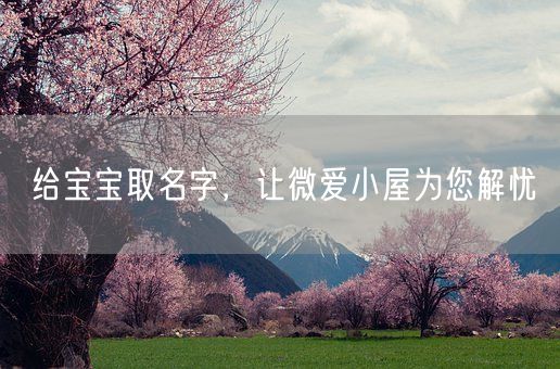 给宝宝取名字，让微爱小屋为您解忧(图1)