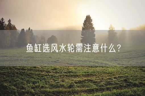 鱼缸选风水轮需注意什么？(图1)