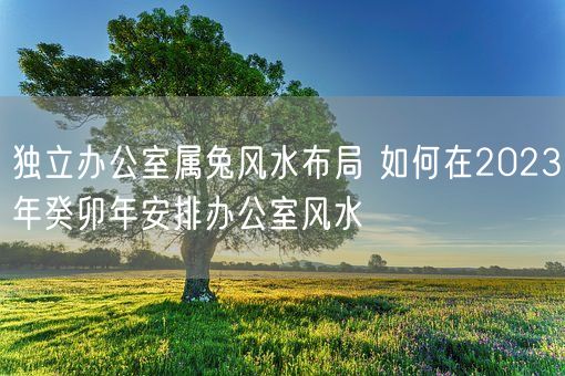 独立办公室属兔风水布局 如何在2023年癸卯年安排办公室风水(图1)