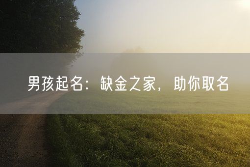 男孩起名：缺金之家，助你取名(图1)