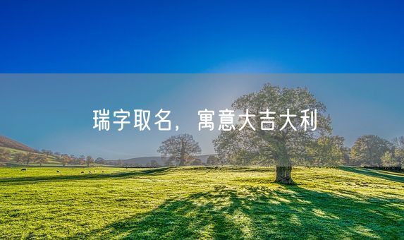 瑞字取名，寓意大吉大利(图1)