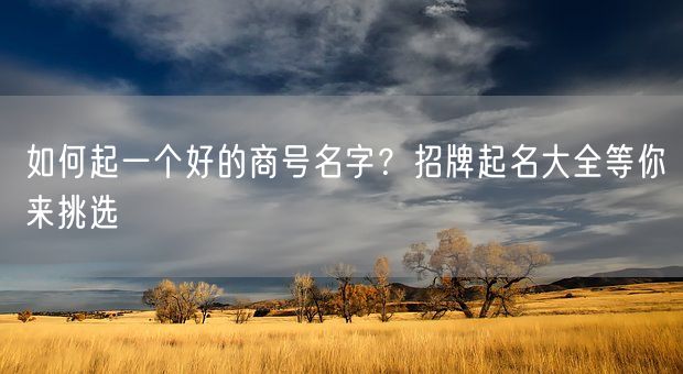 如何起一个好的商号名字？招牌起名大全等你来挑选(图1)