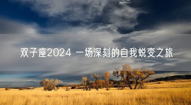 双子座2024 一场深刻的自我蜕变之旅(图1)