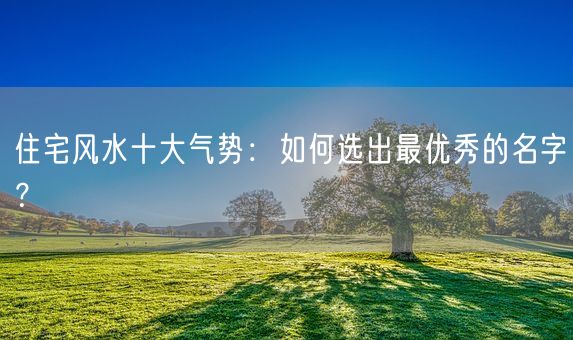 住宅风水十大气势：如何选出最优秀的名字？(图1)