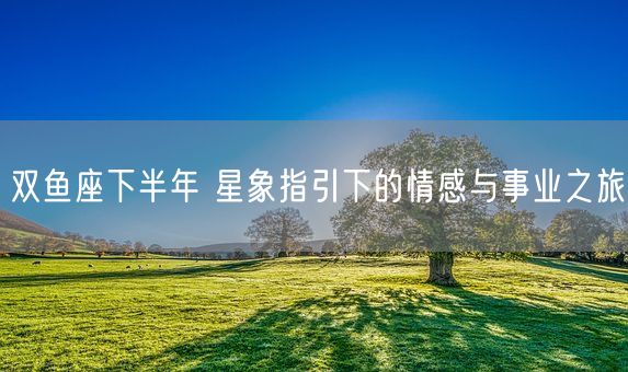 双鱼座下半年 星象指引下的情感与事业之旅(图1)