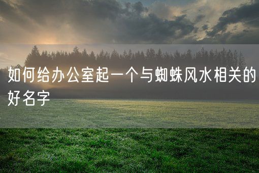 如何给办公室起一个与蜘蛛风水相关的好名字(图1)