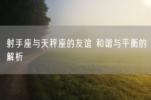 射手座与天秤座的友谊 和谐与平衡的解析(图1)