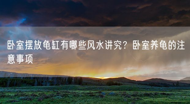 卧室摆放龟缸有哪些风水讲究？卧室养龟的注意事项(图1)