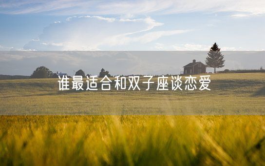 谁最适合和双子座谈恋爱(图1)