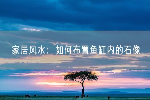 家居风水：如何布置鱼缸内的石像(图1)
