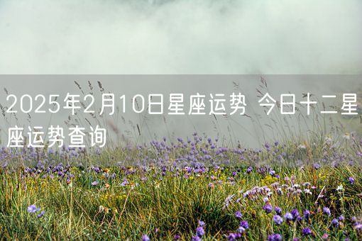 2025年2月10日星座运势 今日十二星座运势查询(图1)