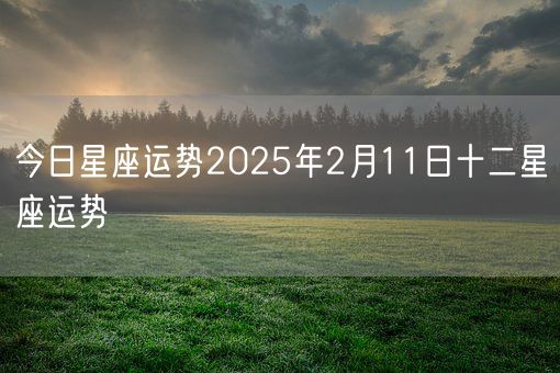 今日星座运势2025年2月11日十二星座运势(图1)