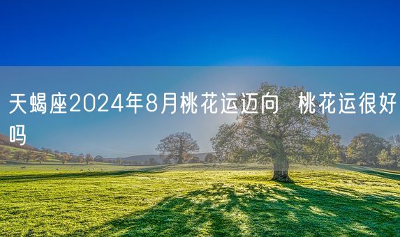 天蝎座2024年8月桃花运迈向  桃花运很好吗(图1)