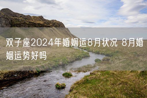 双子座2024年婚姻运8月状况 8月婚姻运势好吗(图1)