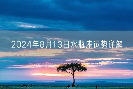 2024年8月13日水瓶座运势详解(图1)