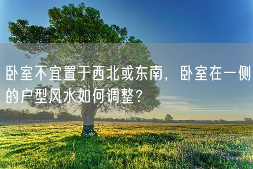 卧室不宜置于西北或东南，卧室在一侧的户型风水如何调整？(图1)