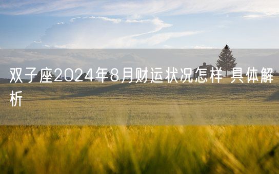 双子座2024年8月财运状况怎样 具体解析(图1)