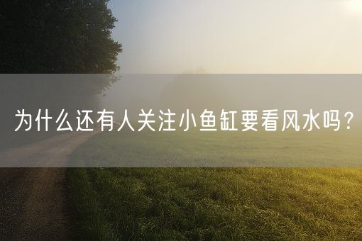 为什么还有人关注小鱼缸要看风水吗？(图1)