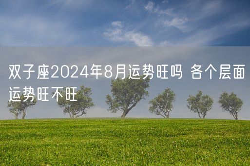 双子座2024年8月运势旺吗 各个层面运势旺不旺(图1)