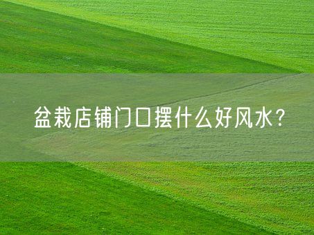 盆栽店铺门口摆什么好风水？(图1)