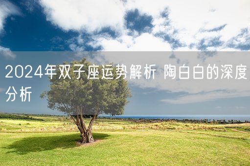 2024年双子座运势解析 陶白白的深度分析(图1)