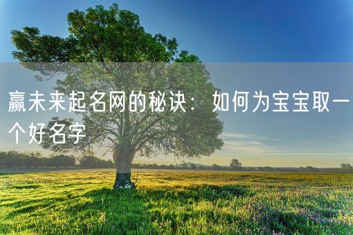 赢未来起名网的秘诀：如何为宝宝取一个好名字(图1)