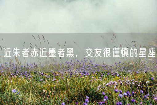 近朱者赤近墨者黑，交友很谨慎的星座(图1)