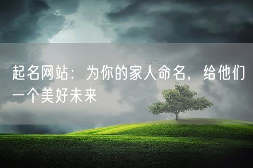 起名网站：为你的家人命名，给他们一个美好未来(图1)