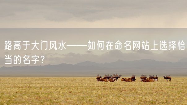 路高于大门风水——如何在命名网站上选择恰当的名字？(图1)