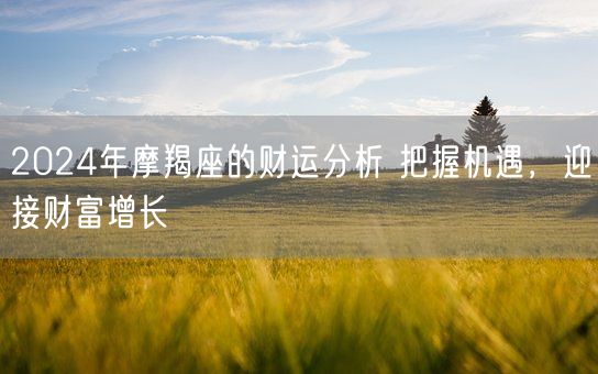 2024年摩羯座的财运分析 把握机遇，迎接财富增长(图1)