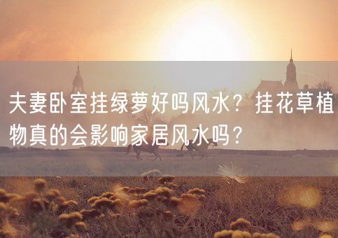 夫妻卧室挂绿萝好吗风水？挂花草植物真的会影响家居风水吗？(图1)