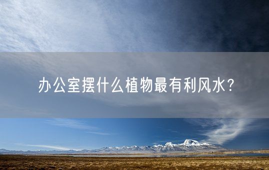 办公室摆什么植物最有利风水？(图1)