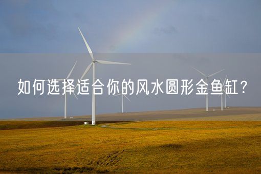 如何选择适合你的风水圆形金鱼缸?(图1) 如何选择适合你的风水圆形金鱼缸?(图1)