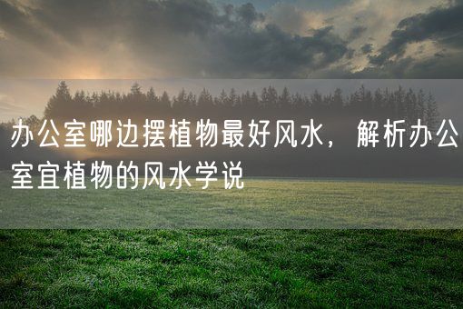 办公室哪边摆植物最好风水，解析办公室宜植物的风水学说(图1)