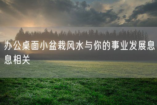 办公桌面小盆栽风水与你的事业发展息息相关(图1)