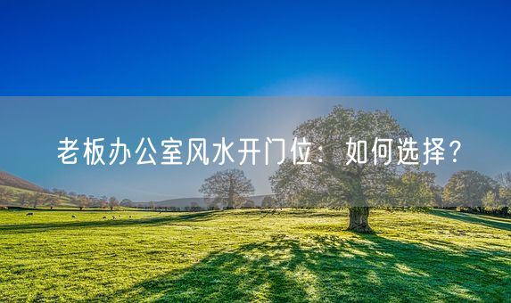 老板办公室风水开门位：如何选择？(图1)
