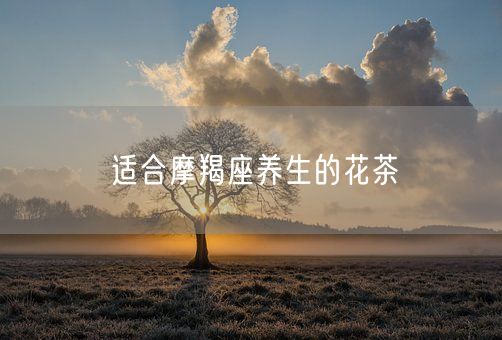 适合摩羯座养生的花茶(图1)