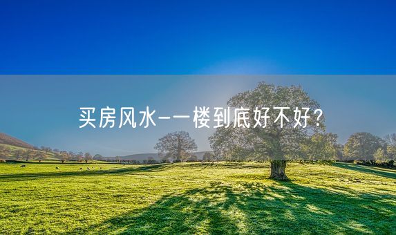 买房风水-一楼到底好不好？(图1)