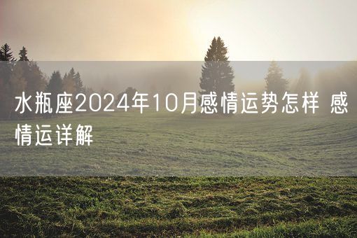 水瓶座2024年10月感情运势怎样 感情运详解(图1)