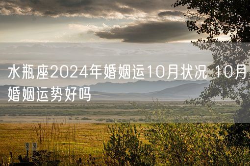 水瓶座2024年婚姻运10月状况 10月婚姻运势好吗(图1)