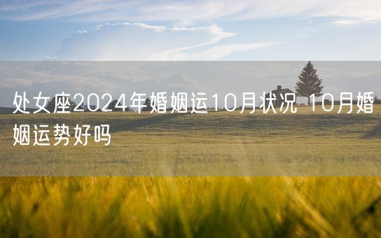 处女座2024年婚姻运10月状况 10月婚姻运势好吗(图1)