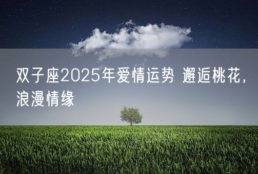 双子座2025年爱情运势 邂逅桃花，浪漫情缘(图1)