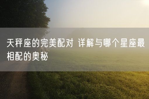 天秤座的完美配对 详解与哪个星座最相配的奥秘(图1)