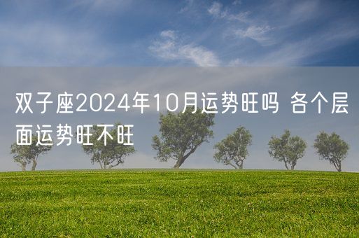 双子座2024年10月运势旺吗 各个层面运势旺不旺(图1)