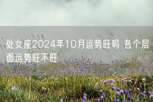 处女座2024年10月运势旺吗 各个层面运势旺不旺(图1)