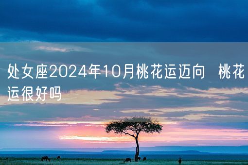 处女座2024年10月桃花运迈向  桃花运很好吗(图1)